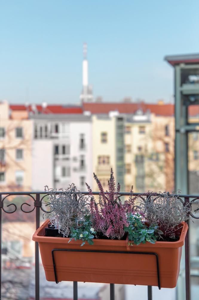 Deluxe apartment - Sibelius depandance